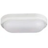 LED Kellerleuchte 6 Watt Oval